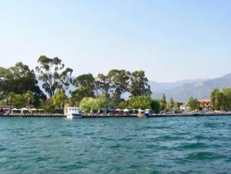 Köyceğiz Lake Boat Tour