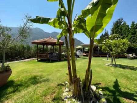 Dalyan Yoga