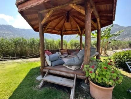 Dalyan Yoga