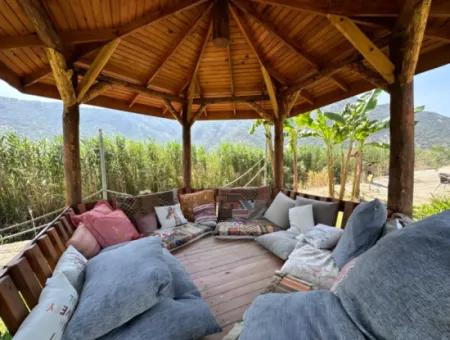 Dalyan Yoga