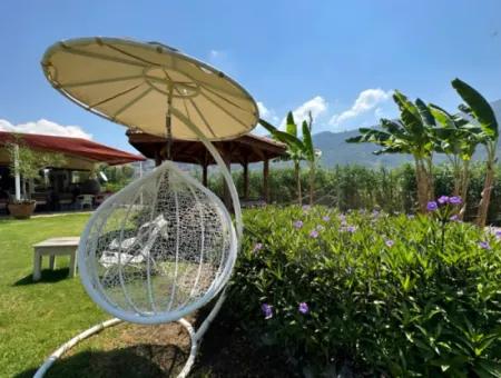 Dalyan Yoga