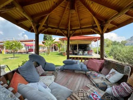 Dalyan Yoga