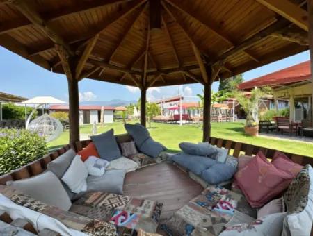 Dalyan Yoga