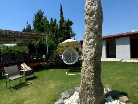 Dalyan Yoga