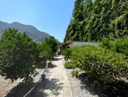 Dalyan Yoga