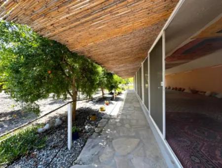 Dalyan Yoga