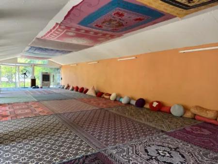 Dalyan Yoga