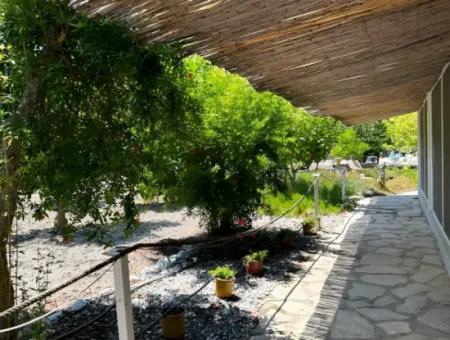 Dalyan Yoga