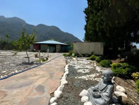 Dalyan Yoga