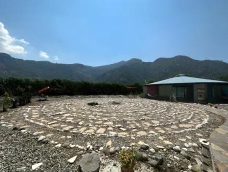Dalyan Yoga