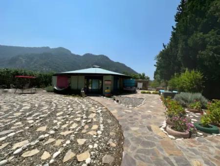 Dalyan Yoga
