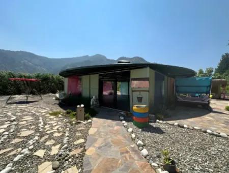 Dalyan Yoga
