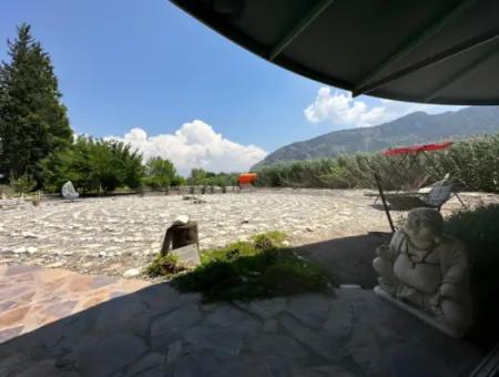 Dalyan Yoga