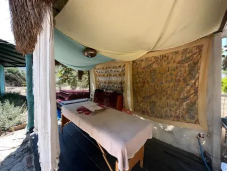 Dalyan Yoga