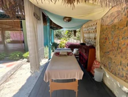 Dalyan Yoga
