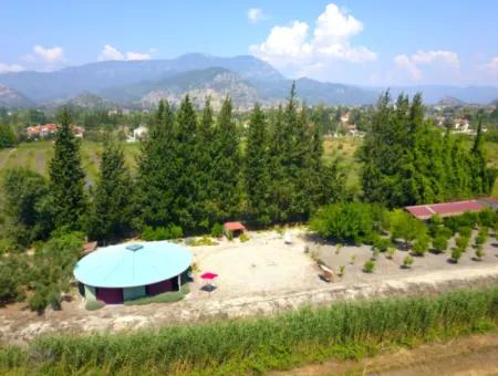 Dalyan Yoga