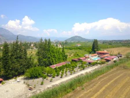Dalyan Yoga
