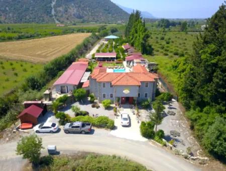 Dalyan Yoga