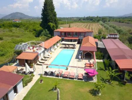Dalyan Yoga