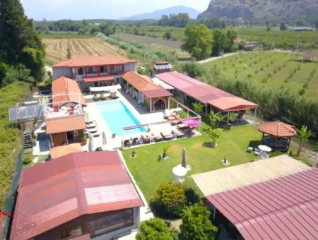 Dalyan Yoga