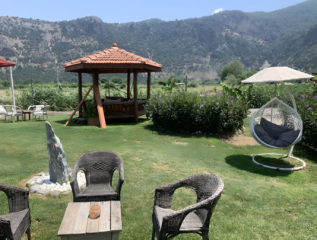 Dalyan Yoga