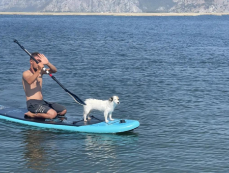 Captain Deniz
