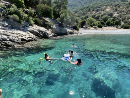 Captain Deniz