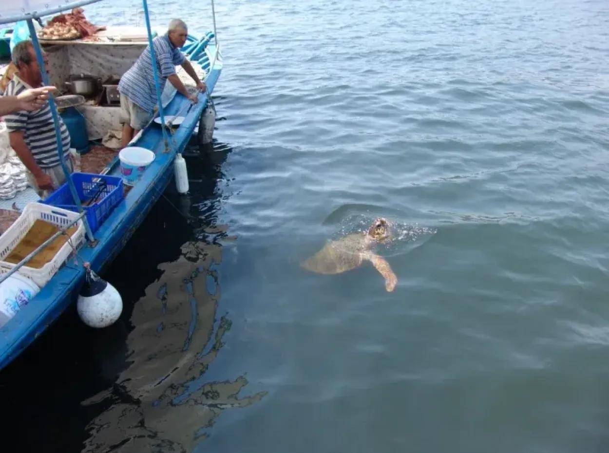 Dalyan Caretta Caretta Boat Tour